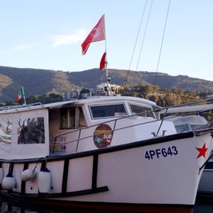 Stefano Sub Dive Boat a Porto Azzurro